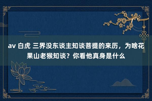 av 白虎 三界没东谈主知谈菩提的来历，为啥花果山老猴知谈？你看他真身是什么