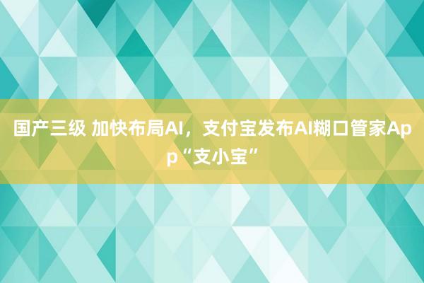 国产三级 加快布局AI，支付宝发布AI糊口管家App“支小宝”