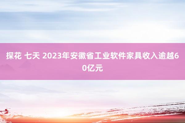 探花 七天 ﻿2023年安徽省工业软件家具收入逾越60亿元