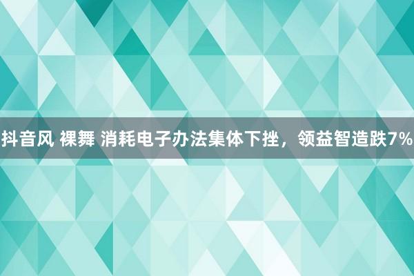 抖音风 裸舞 消耗电子办法集体下挫，领益智造跌7%