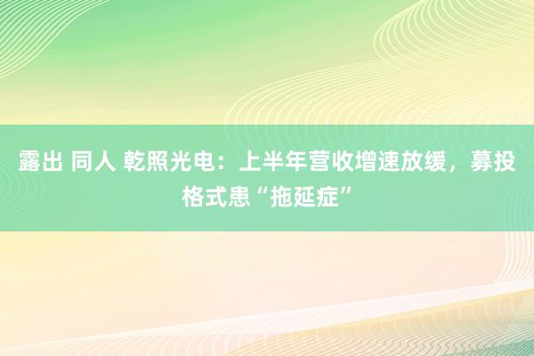 露出 同人 乾照光电：上半年营收增速放缓，募投格式患“拖延症”