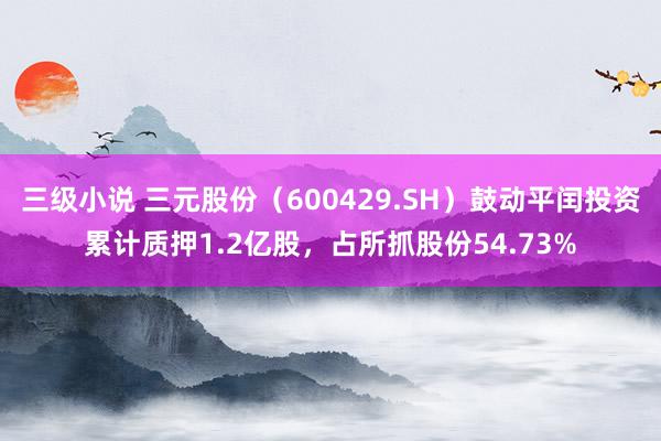 三级小说 三元股份（600429.SH）鼓动平闰投资累计质押1.2亿股，占所抓股份54.73%