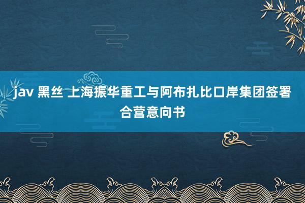 jav 黑丝 上海振华重工与阿布扎比口岸集团签署合营意向书