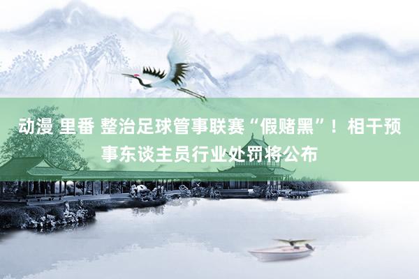 动漫 里番 整治足球管事联赛“假赌黑”！相干预事东谈主员行业处罚将公布