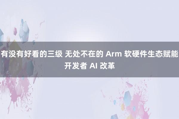 有没有好看的三级 无处不在的 Arm 软硬件生态赋能开发者 AI 改革