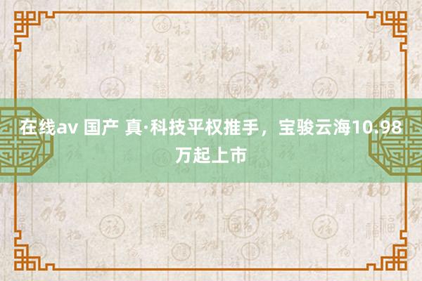 在线av 国产 真·科技平权推手，宝骏云海10.98万起上市