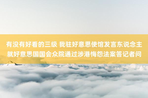 有没有好看的三级 我驻好意思使馆发言东说念主就好意思国国会众院通过涉港悔怨法案答记者问