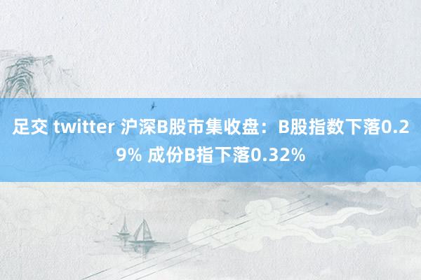 足交 twitter 沪深B股市集收盘：B股指数下落0.29% 成份B指下落0.32%