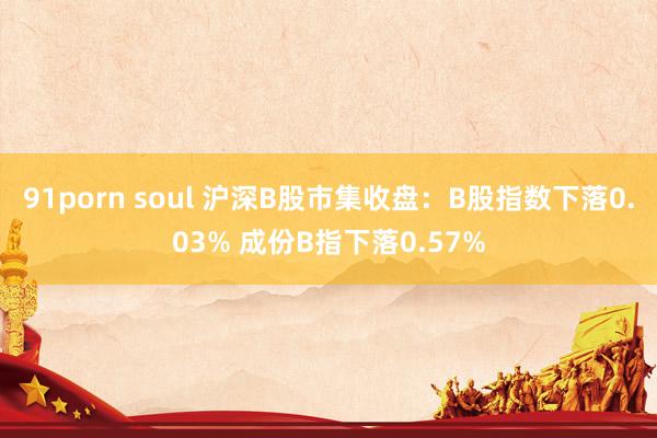 91porn soul 沪深B股市集收盘：B股指数下落0.03% 成份B指下落0.57%