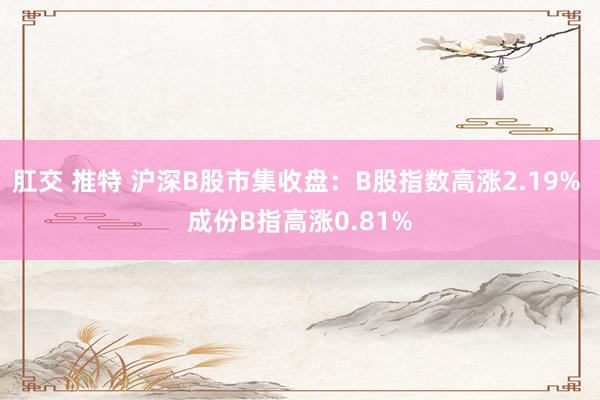 肛交 推特 沪深B股市集收盘：B股指数高涨2.19% 成份B指高涨0.81%