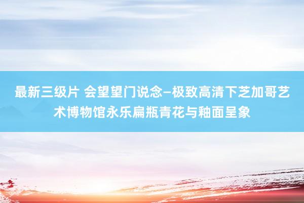 最新三级片 会望望门说念—极致高清下芝加哥艺术博物馆永乐扁瓶青花与釉面呈象