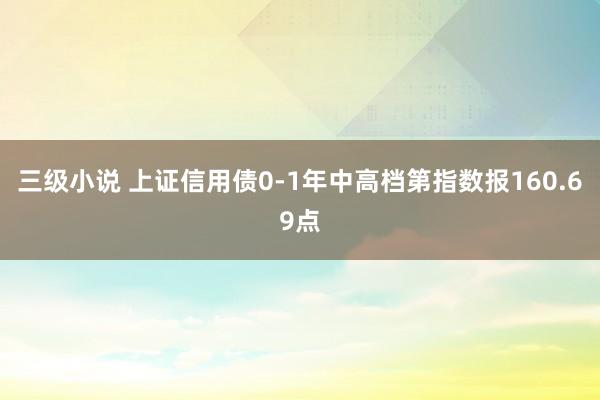 三级小说 上证信用债0-1年中高档第指数报160.69点