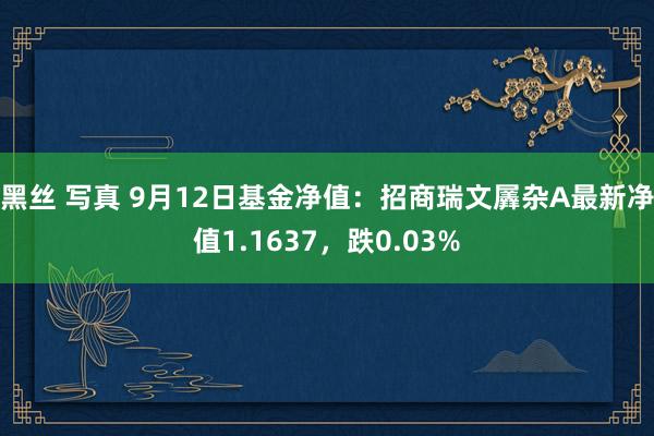 黑丝 写真 9月12日基金净值：招商瑞文羼杂A最新净值1.1637，跌0.03%