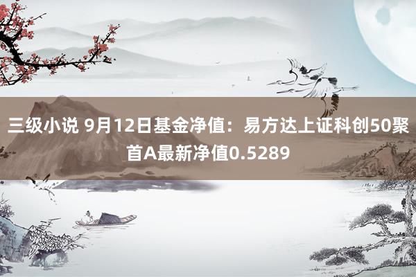 三级小说 9月12日基金净值：易方达上证科创50聚首A最新净值0.5289