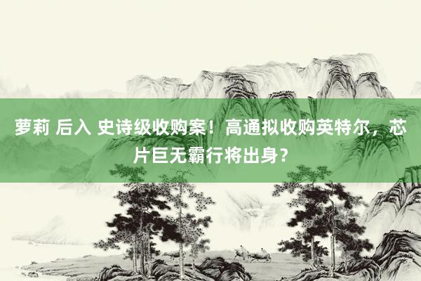 萝莉 后入 史诗级收购案！高通拟收购英特尔，芯片巨无霸行将出身？