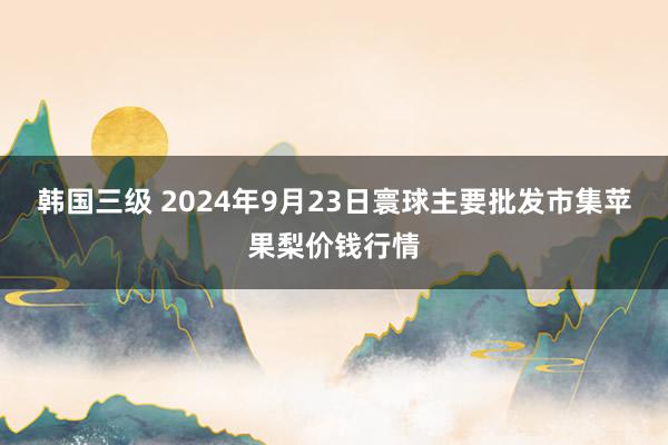 韩国三级 2024年9月23日寰球主要批发市集苹果梨价钱行情