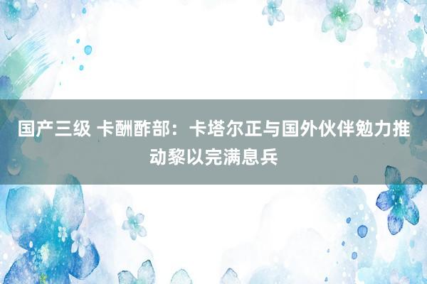 国产三级 卡酬酢部：卡塔尔正与国外伙伴勉力推动黎以完满息兵