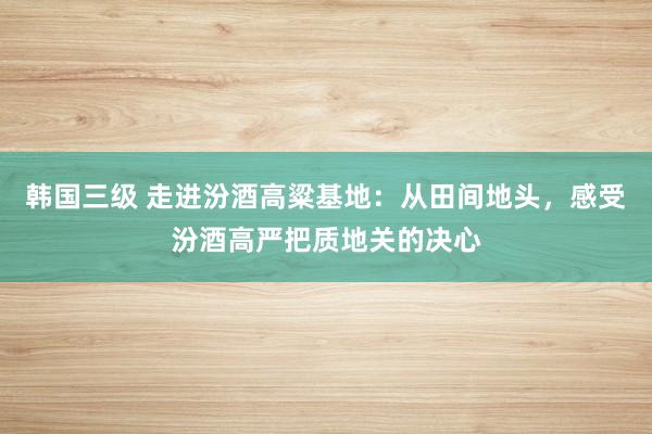 韩国三级 走进汾酒高粱基地：从田间地头，感受汾酒高严把质地关的决心