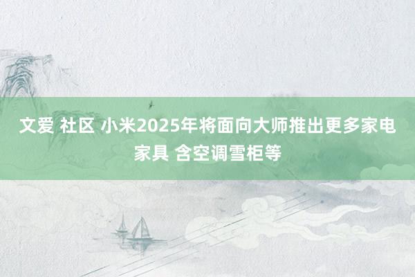 文爱 社区 小米2025年将面向大师推出更多家电家具 含空调雪柜等