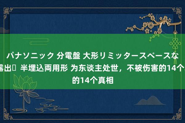 パナソニック 分電盤 大形リミッタースペースなし 露出・半埋込両用形 为东谈主处世，不被伤害的14个真相