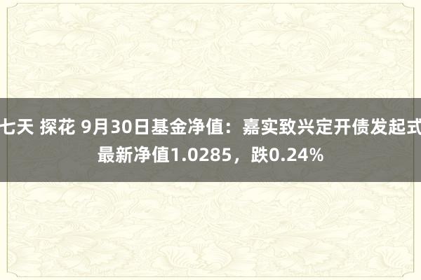 七天 探花 9月30日基金净值：嘉实致兴定开债发起式最新净值1.0285，跌0.24%