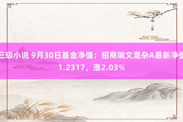 三级小说 9月30日基金净值：招商瑞文混杂A最新净值1.2317，涨2.03%