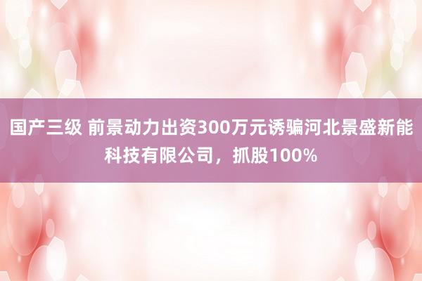 国产三级 前景动力出资300万元诱骗河北景盛新能科技有限公司，抓股100%