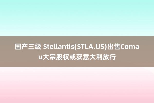 国产三级 Stellantis(STLA.US)出售Comau大宗股权或获意大利放行