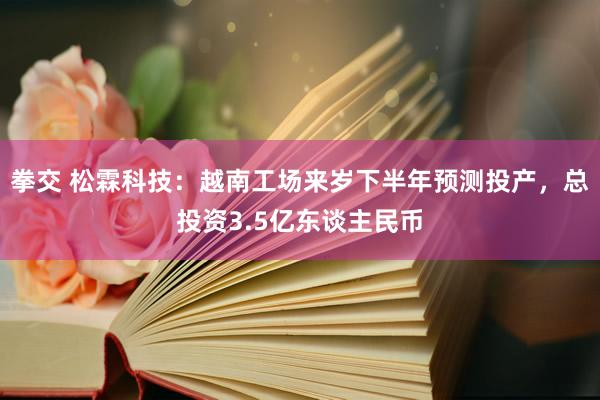 拳交 松霖科技：越南工场来岁下半年预测投产，总投资3.5亿东谈主民币