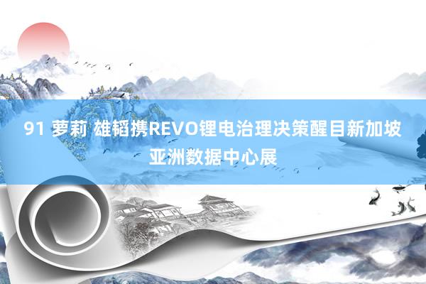 91 萝莉 雄韬携REVO锂电治理决策醒目新加坡亚洲数据中心展