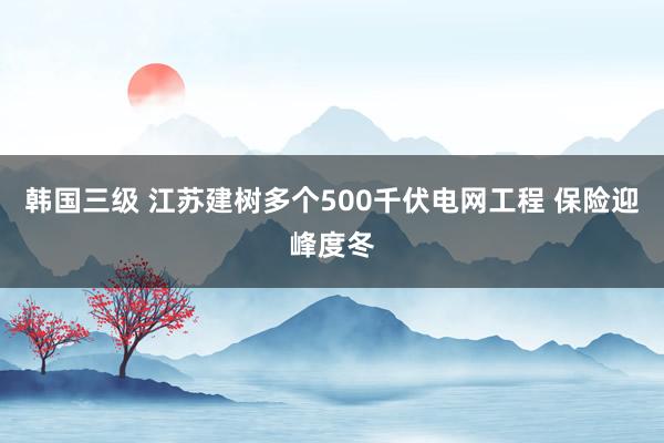 韩国三级 江苏建树多个500千伏电网工程 保险迎峰度冬