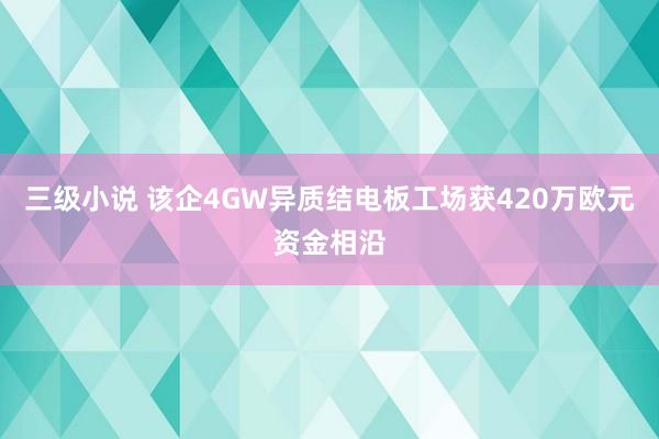 三级小说 该企4GW异质结电板工场获420万欧元资金相沿