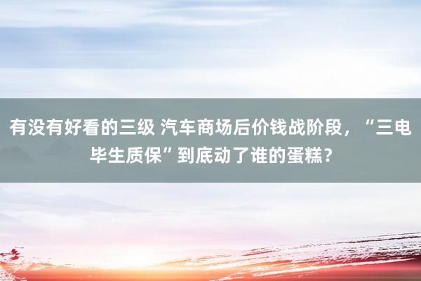 有没有好看的三级 汽车商场后价钱战阶段，“三电毕生质保”到底动了谁的蛋糕？