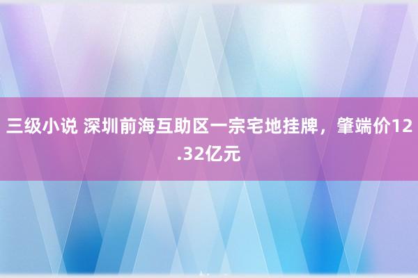 三级小说 深圳前海互助区一宗宅地挂牌，肇端价12.32亿元