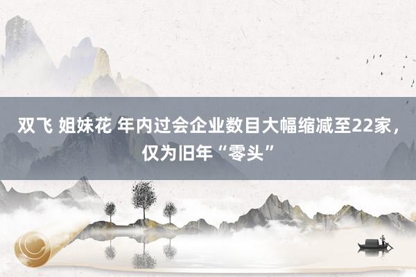 双飞 姐妹花 年内过会企业数目大幅缩减至22家，仅为旧年“零头”