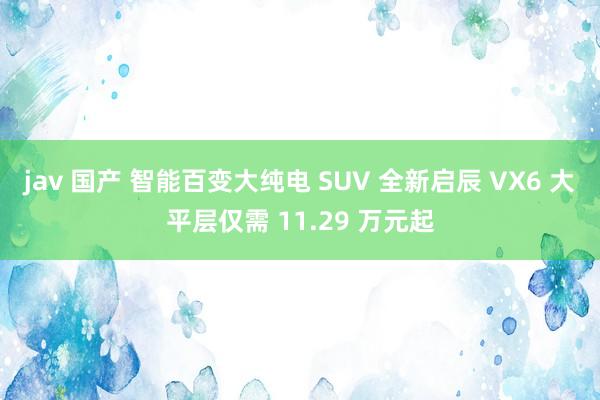 jav 国产 智能百变大纯电 SUV 全新启辰 VX6 大平层仅需 11.29 万元起