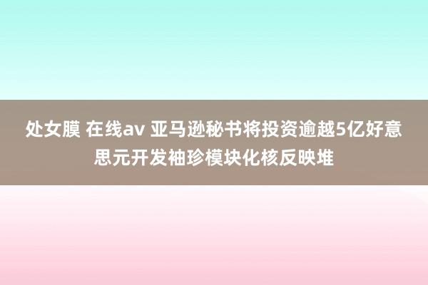 处女膜 在线av 亚马逊秘书将投资逾越5亿好意思元开发袖珍模块化核反映堆