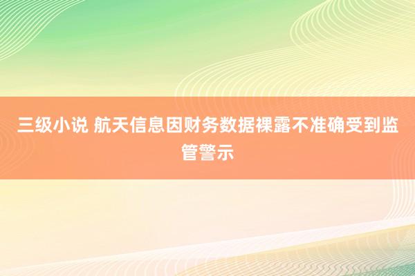 三级小说 航天信息因财务数据裸露不准确受到监管警示