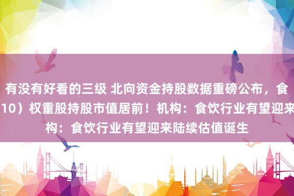 有没有好看的三级 北向资金持股数据重磅公布，食物ETF（515710）权重股持股市值居前！机构：食饮行业有望迎来陆续估值诞生