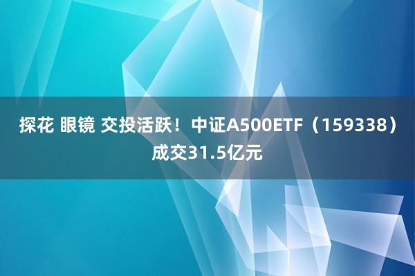 探花 眼镜 交投活跃！中证A500ETF（159338）成交31.5亿元