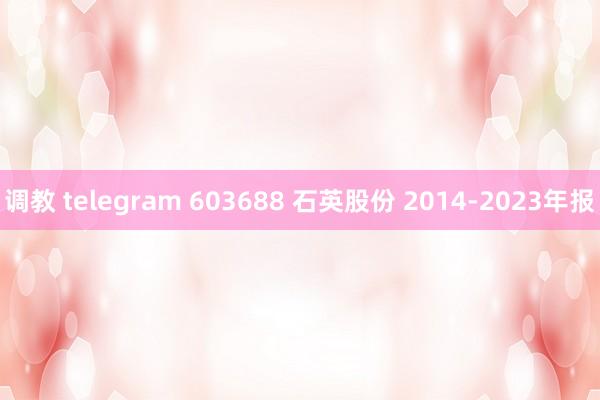 调教 telegram 603688 石英股份 2014-2023年报