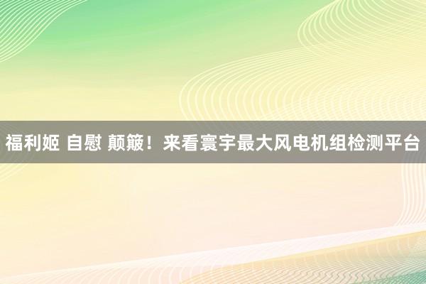 福利姬 自慰 颠簸！来看寰宇最大风电机组检测平台