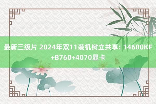 最新三级片 2024年双11装机树立共享: 14600KF+B760+4070显卡