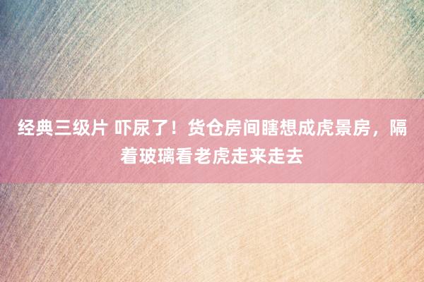 经典三级片 吓尿了！货仓房间瞎想成虎景房，隔着玻璃看老虎走来走去