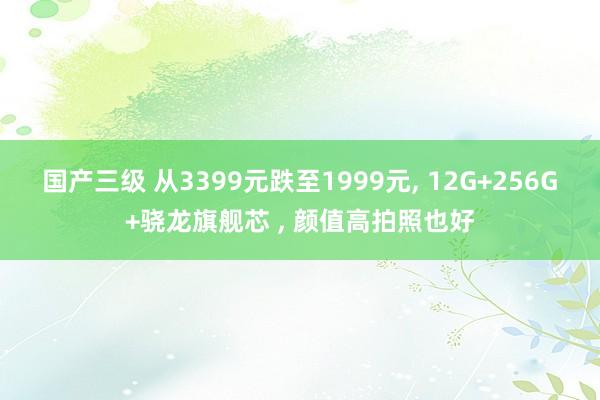 国产三级 从3399元跌至1999元， 12G+256G+骁龙旗舰芯 ， 颜值高拍照也好