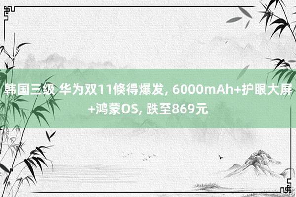 韩国三级 华为双11倏得爆发， 6000mAh+护眼大屏+鸿蒙OS， 跌至869元