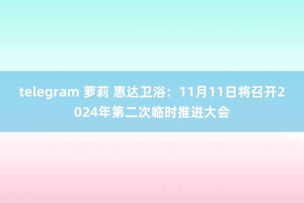 telegram 萝莉 惠达卫浴：11月11日将召开2024年第二次临时推进大会