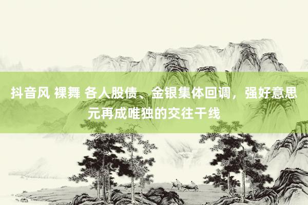 抖音风 裸舞 各人股债、金银集体回调，强好意思元再成唯独的交往干线