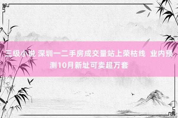 三级小说 深圳一二手房成交量站上荣枯线  业内预测10月新址可卖超万套