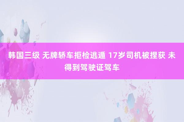 韩国三级 无牌轿车拒检逃遁 17岁司机被捏获 未得到驾驶证驾车